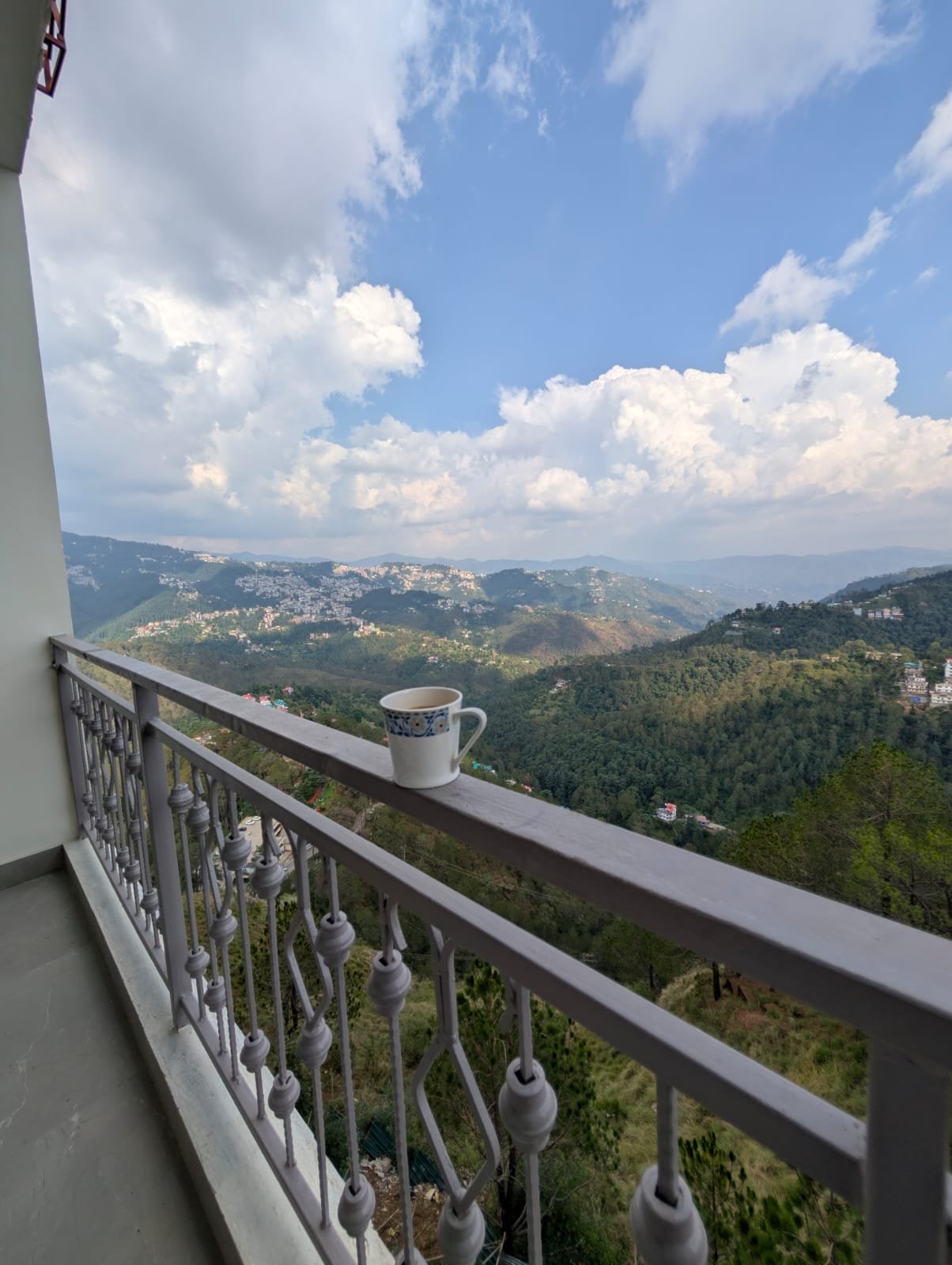 Pine Valley Shimla Elevation 25